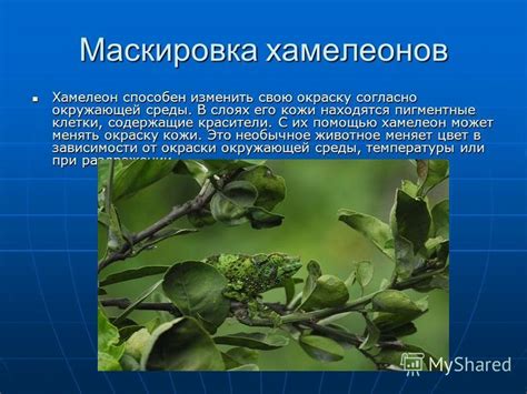 Маскировка шума с помощью окружающей среды