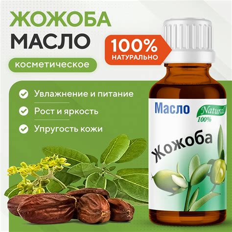 Масло жожоба для тела: секреты красоты и ухода