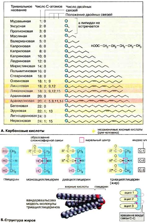 Масло и жирные вещества