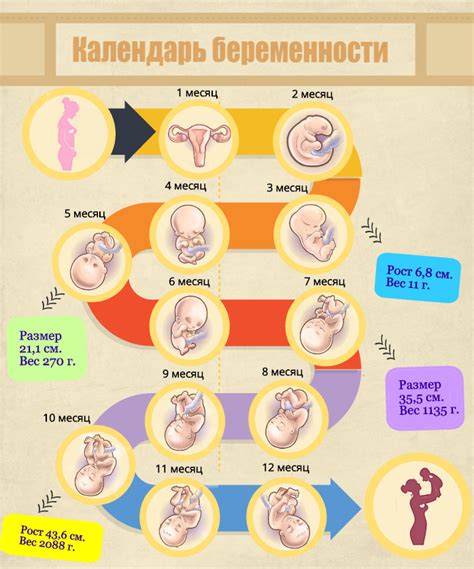 Материнство и беременность