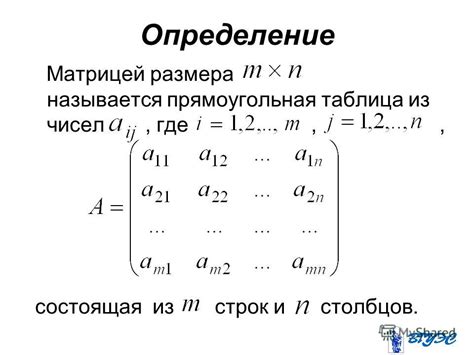 Матрица строка и столбец: определение и примеры