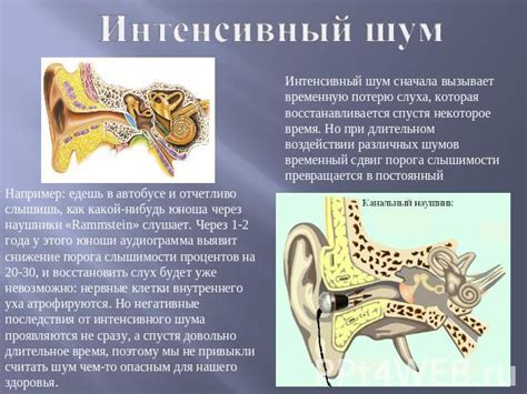 Медиа и информационный шум: как он влияет на здравый смысл