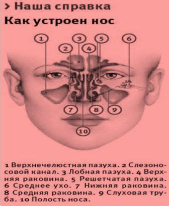 Медикаментозное лечение отита из-за аденоидов