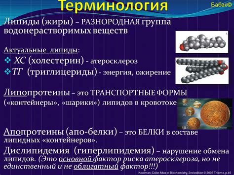 Медикаментозное лечение повышенных триглицеридов