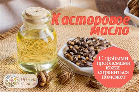 Медицинское применение касторки