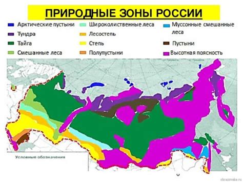 Местоположение и распространение