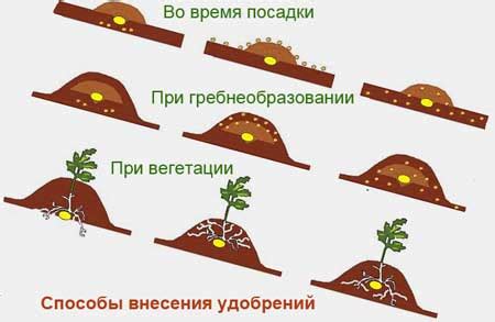 Методы внесения удобрений