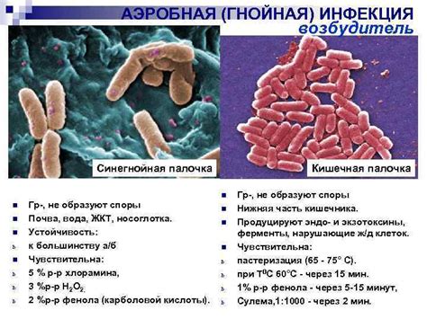 Методы лечения Pseudomonas aeruginosa