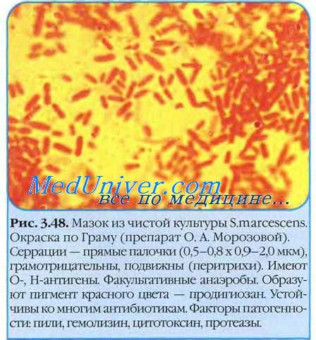 Методы лечения Serratia marcescens в горле