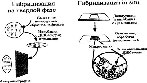 Метод 4: Использование гелевых кислот