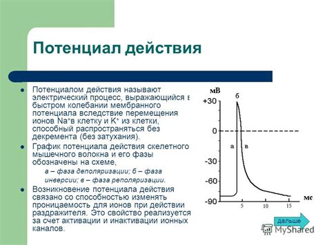 Механизмы действия