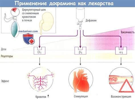 Механизмы действия препарата на органы и системы