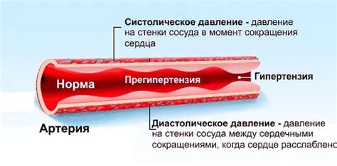 Механизмы работы сосудов при повышенном давлении