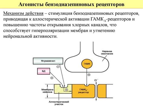 Механизм действия Вильпрафена