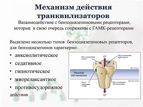 Механизм действия транквилизаторов