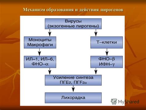 Механизм образования седины у русолосых