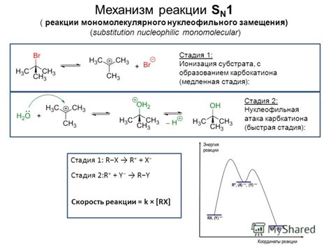 Механизм реакции и его особенности