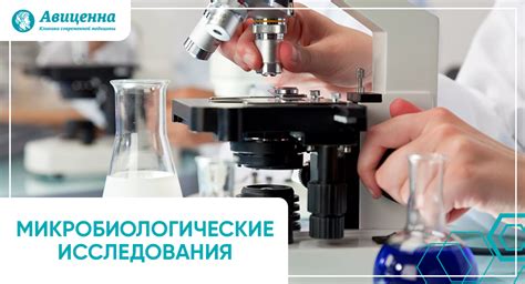 Микробиологические исследования: