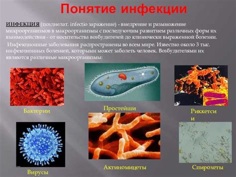 Микроорганизмы воздуха и эпидемии насморка