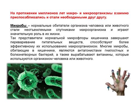 Микроорганизмы и их роль в жизни