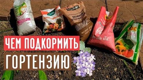 Минеральные удобрения для гортензии