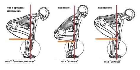 Минимальная нагрузка на позвоночник при правильном выполнении