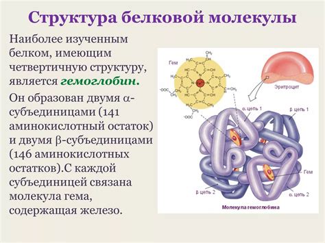 Многонитевая белковая структура