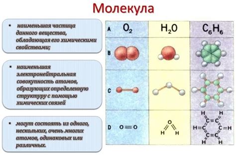 Молекулы и их значение в химии