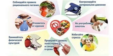 Молочные продукты и мед при гипертонии: какие использовать и какова их роль