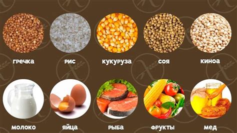 Молочные продукты и яйца без глютена