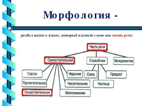 Морфология русского языка