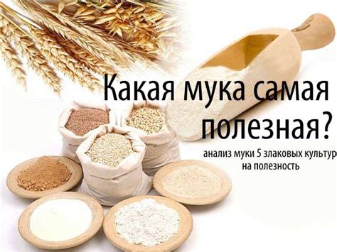 Мука с ветряка: какая самая полезная?