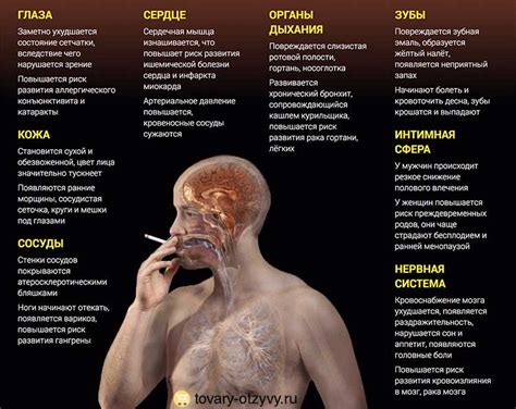 Мягкость и плавность при курении