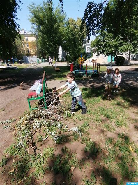 Наблюдение и анализ