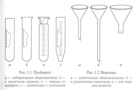 Назначение воронки в биологических экспериментах