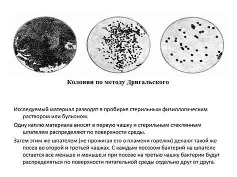 Назначение лабораторных красителей в микробиологии: