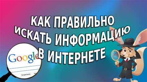 Найдите в интернете информацию о бесплатных или дешевых ветеринарных услугах