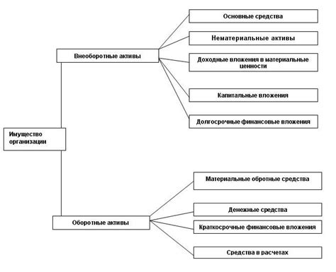 Налоговая классификация имущества: виды и особенности