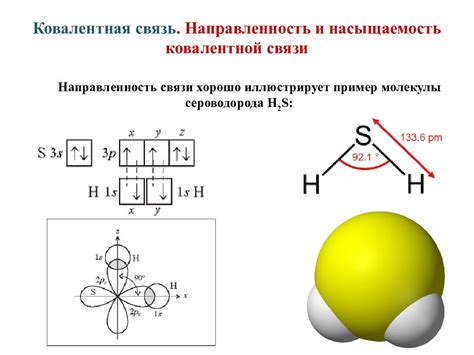 Направленность действия молекул