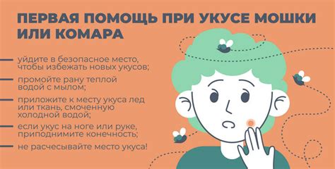 Народные рецепты: облегчение зуда от укуса мошки