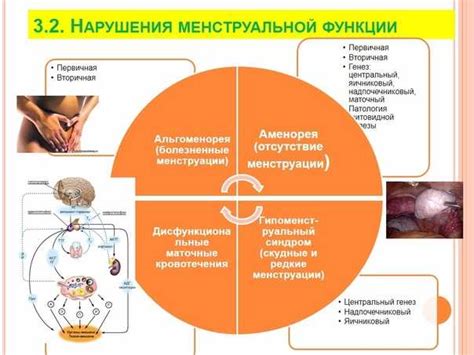 Нарушения менструального цикла и проблемы с бесплодием