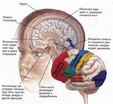 Нарушения функции головного мозга при повышенном давлении