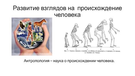 Наука о происхождении человека на основе иследования костей и окаменелостей