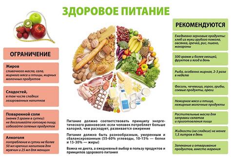 Научно обоснованное сбалансированное питание: что это значит?