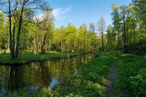 Национальный парк "Лосиный остров" в окрестностях Москвы