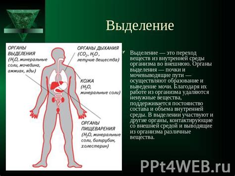 Начало пути в биологии