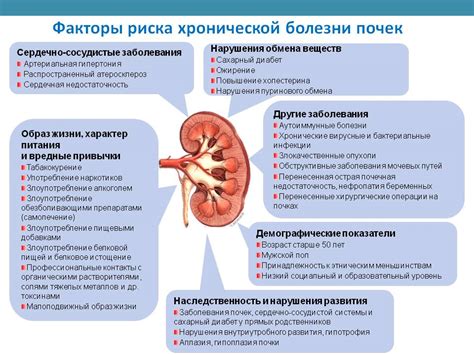 Неблагоприятное влияние на здоровье печени и почек