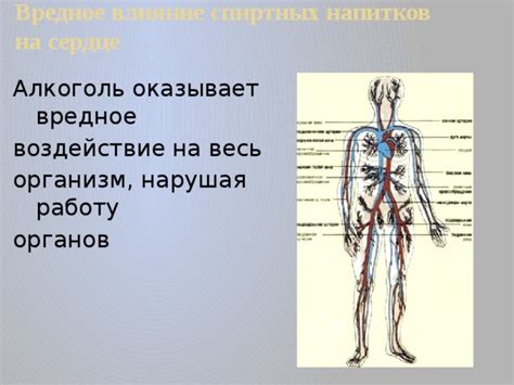 Негативное воздействие на сердце и сосуды