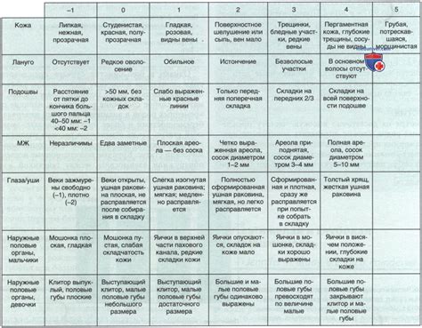 Недоношенность и проблемы с развитием