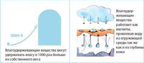 Недостаток влагоудерживающих компонентов в коже